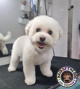 274185195_2227474360735663_2722707041887630664_n