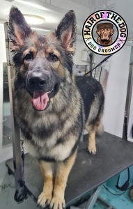 310529686_434905952076615_7881121724737050106_n