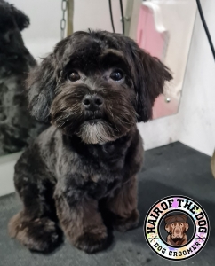 310548663_506426994317014_4289302612261658813_n