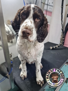 310551176_761744108253733_5644412172579376450_n