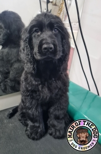 310613980_5741085019287309_2738633679293678787_n