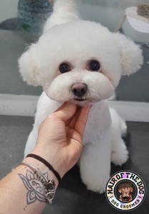 310647655_836549370858541_3728137267152452522_n