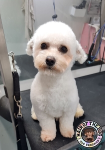 310922980_5646131508780134_5702529341318167563_n