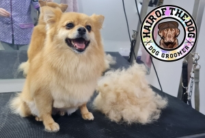 310958734_794521804929646_3201496612452455825_n